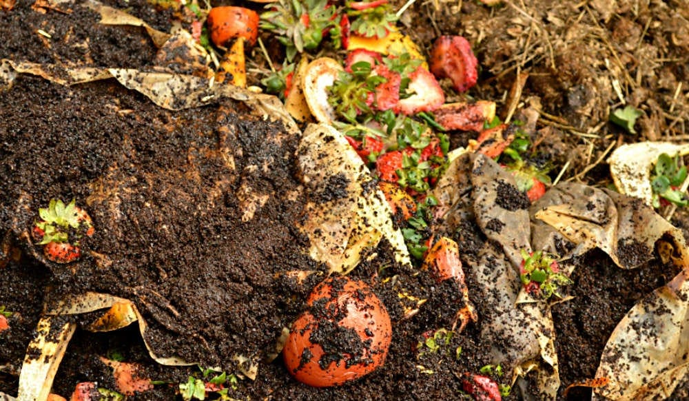 compostagem de residuos 1 Melhor Chácara compostagem de residuos 1 Melhor Chácara